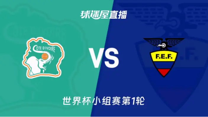 在线观看 科特迪瓦 vs 厄瓜多尔怎么选？专业指南